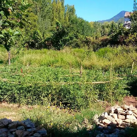 Nietos Holiday home Villaverde De Guadalimar